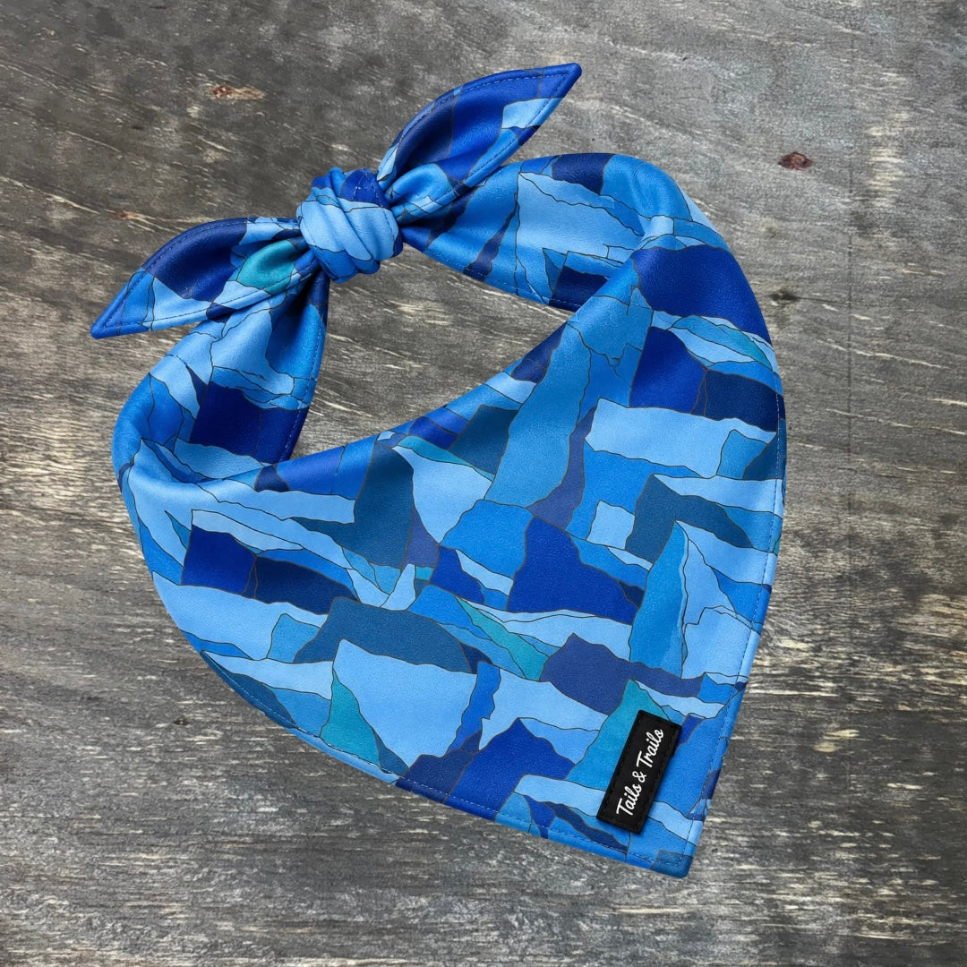 PRE-ORDER Blue Ridge Cooling Bandana