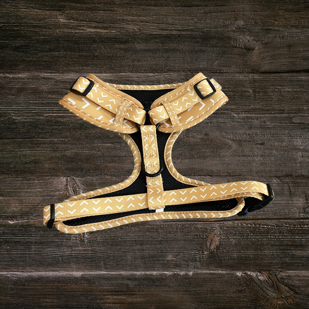 Arrowhead Trail Harness