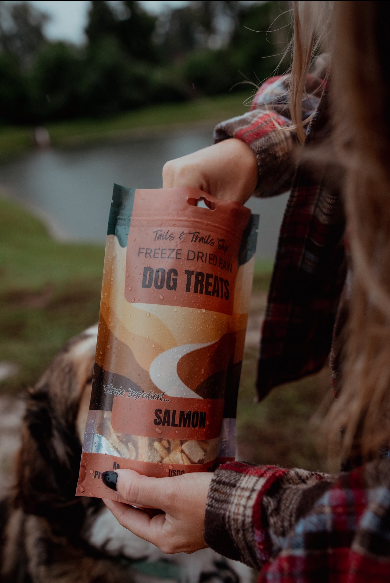 FREEZE DRIED SALMON TREATS