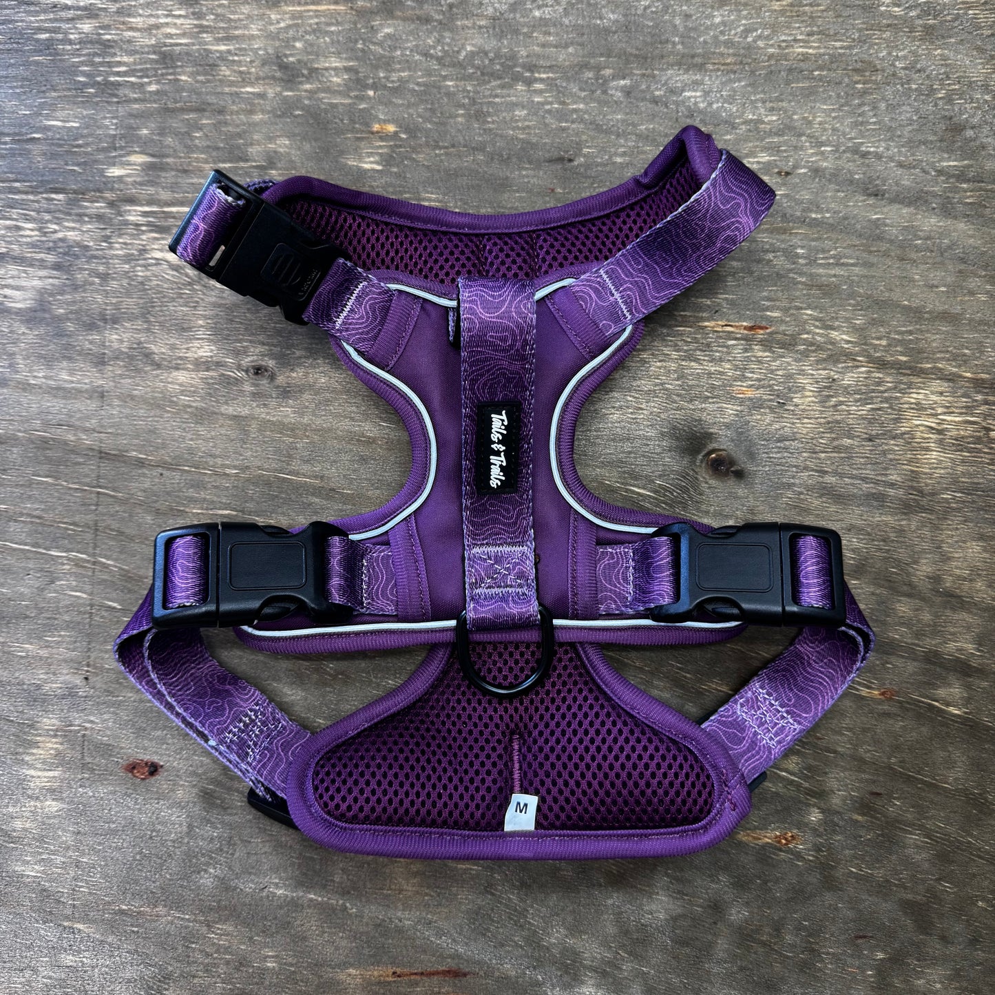 Elderberry Adventure Harness