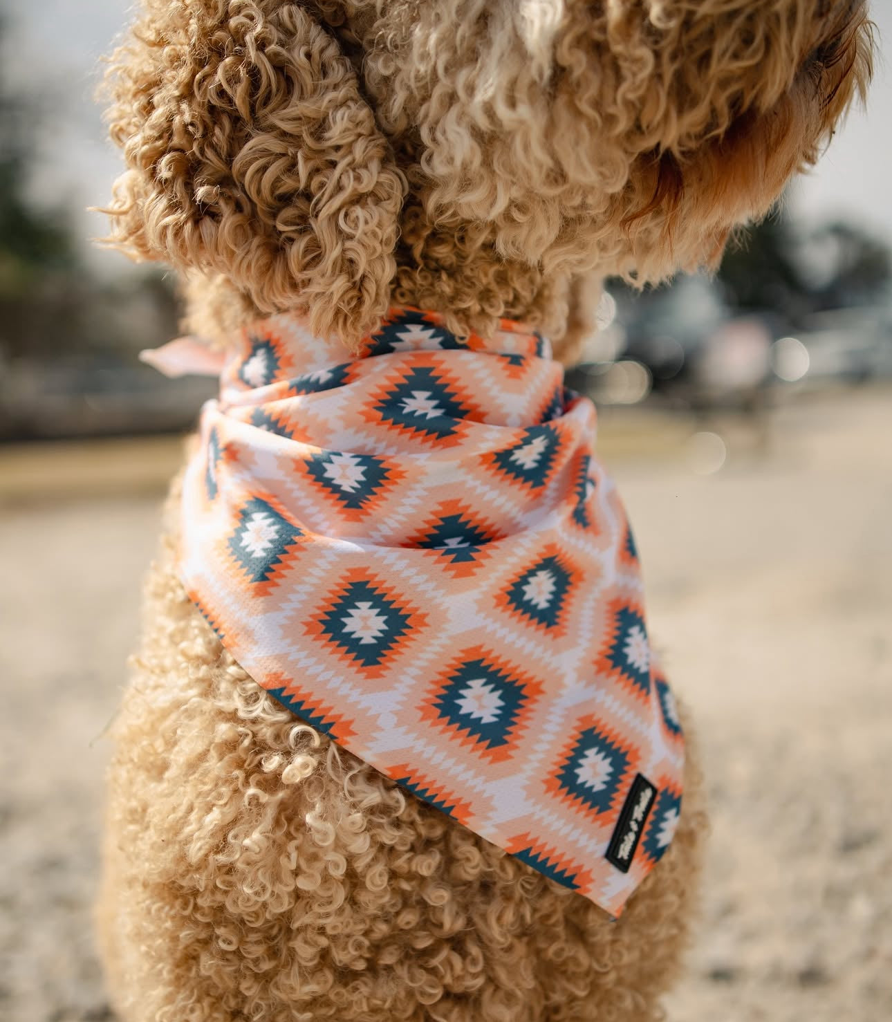 Campfire Bandana