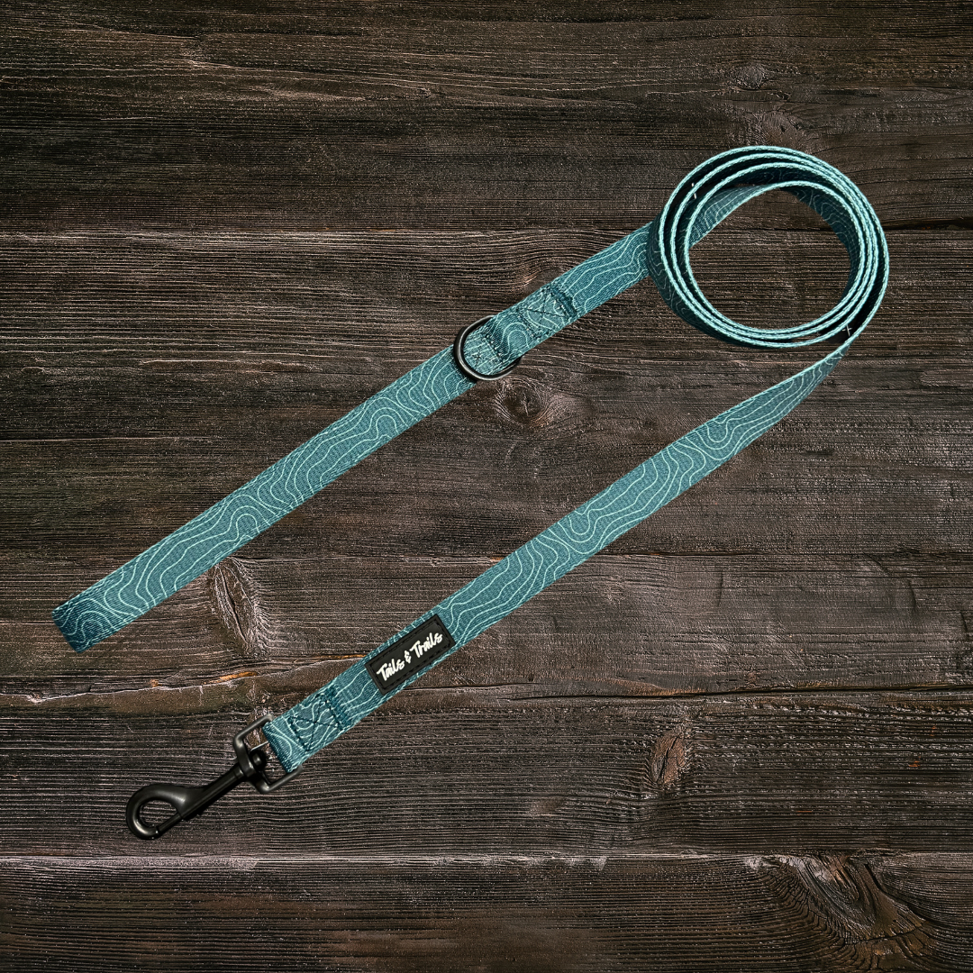 Evergreen Trail Leash
