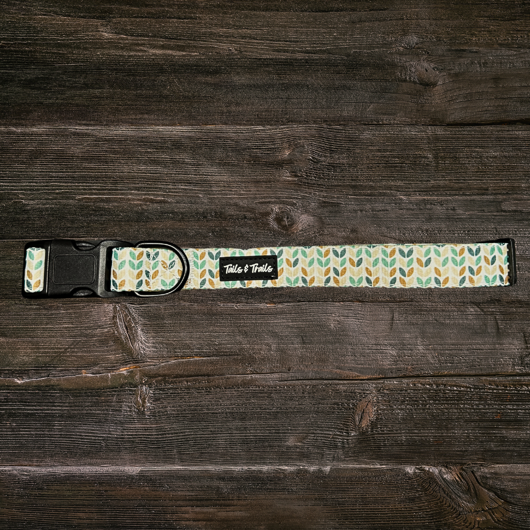 Blooming Trail Collar