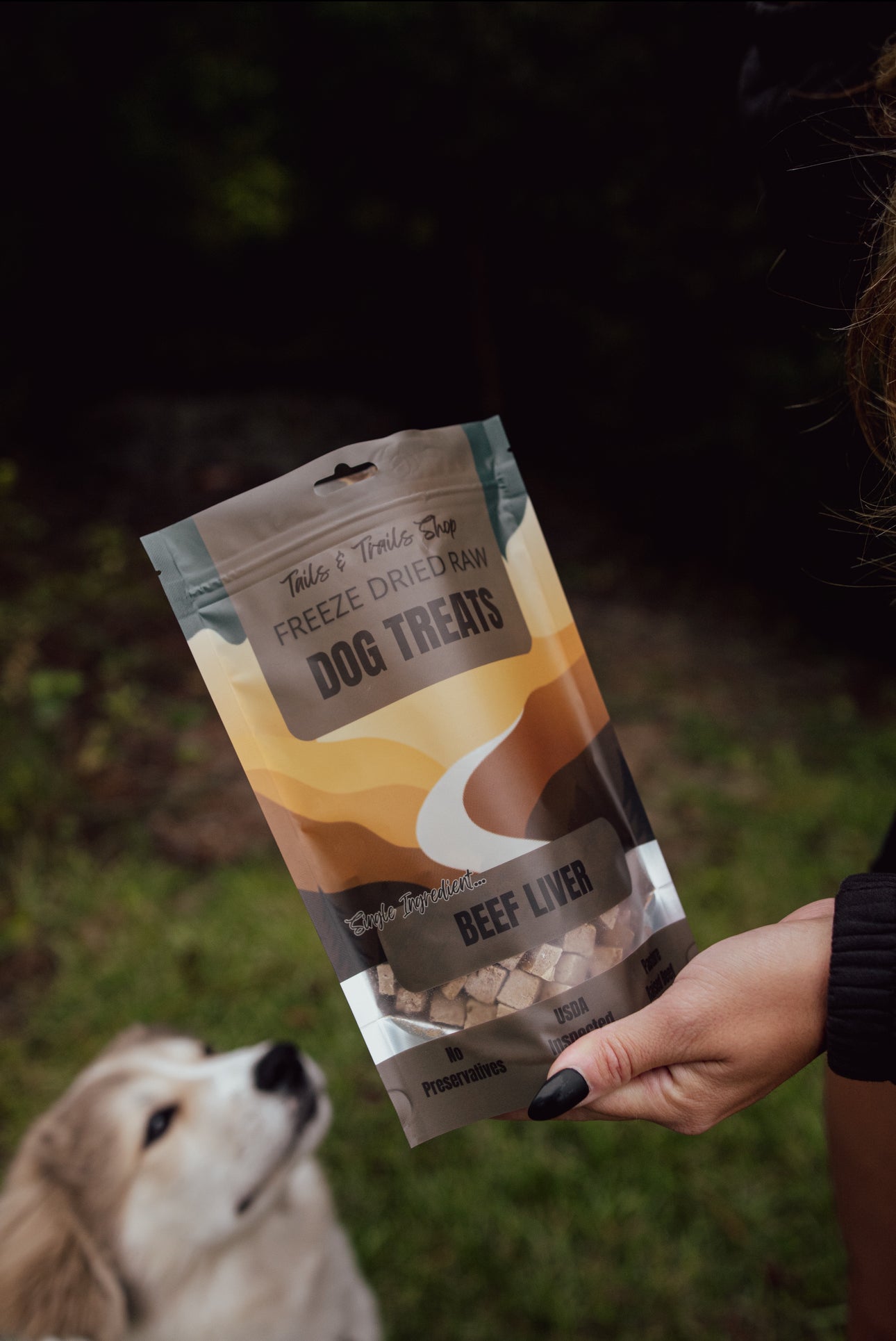 FREEZE DRIED BEEF LIVER TREATS