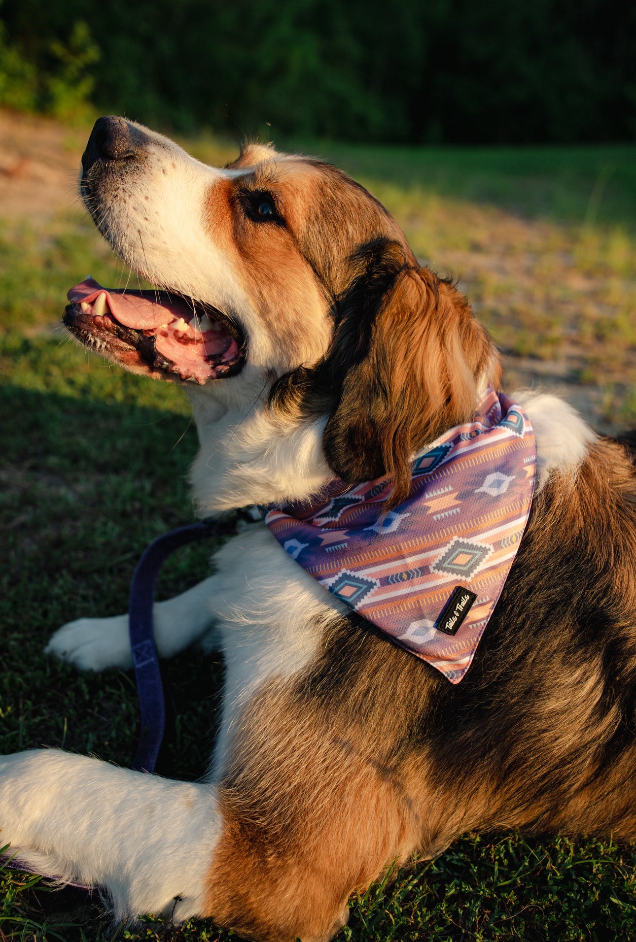 Western Cooling Bandana