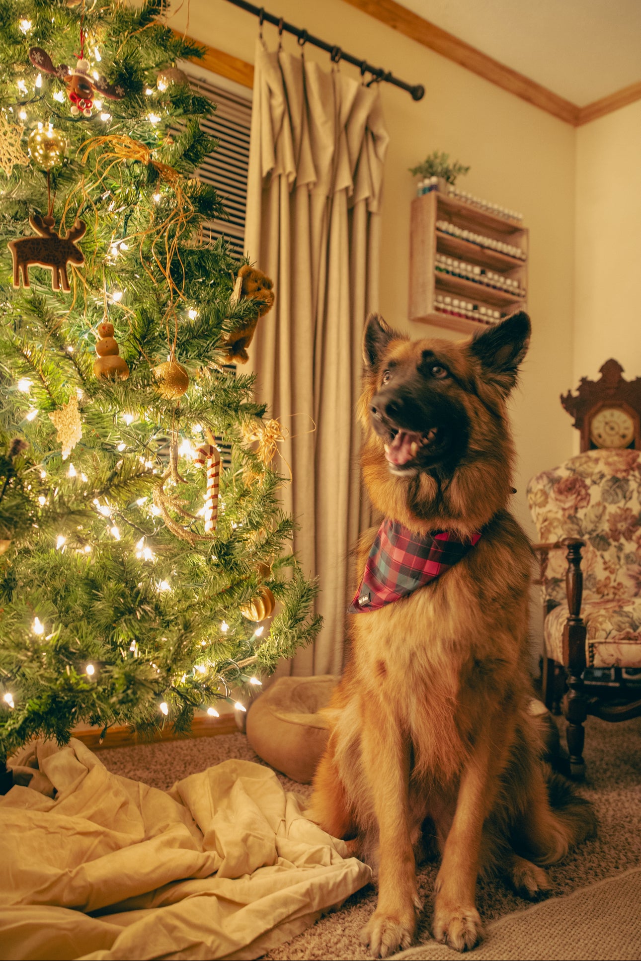 Christmas Flannel Bandana