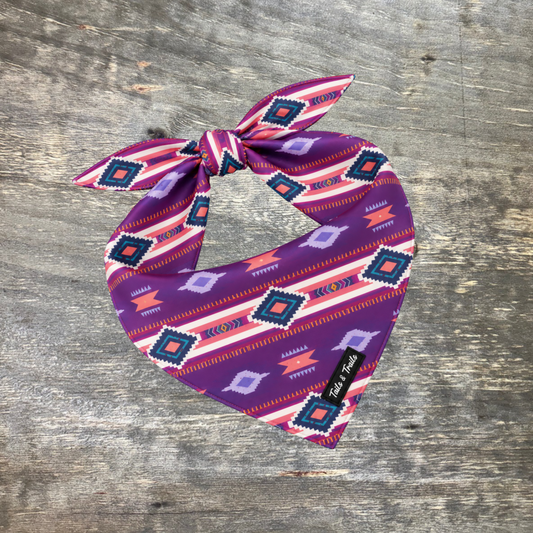 Western Bandana