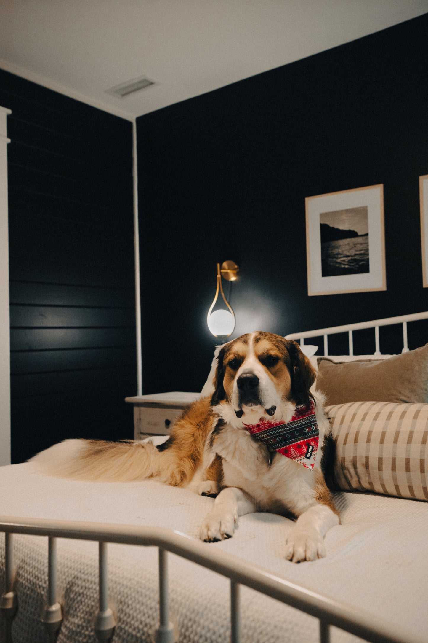 Ugly Christmas Sweater Bandana