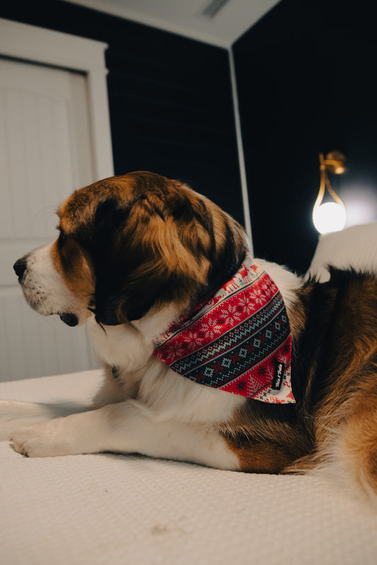 Ugly Christmas Sweater Bandana