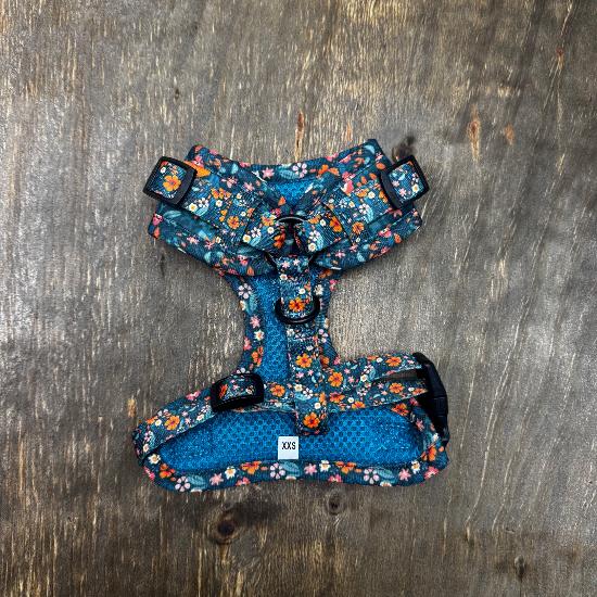 Little Adventures Pull Over Harness